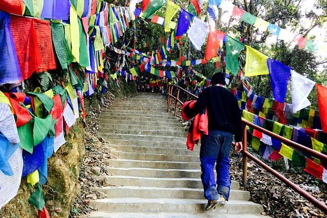 Half-Day Namo Buddha and Thrangu Tashi Monastery Tour - Who Should Consider This Tour?