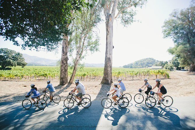 Half-Day Napa Valley E-Bike Tour - An In-Depth Look at the Napa Valley E-Bike Experience
