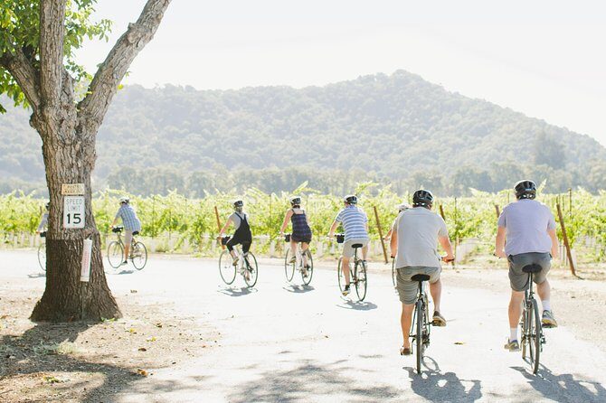 Half-Day Napa Valley E-Bike Tour - The Sum Up: Who Will Love This Tour?