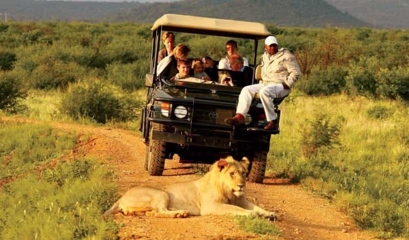Half Day Natal Lion P & Tala Game Reserve from Durban Safari - What to Expect: A Closer Look at the Itinerary