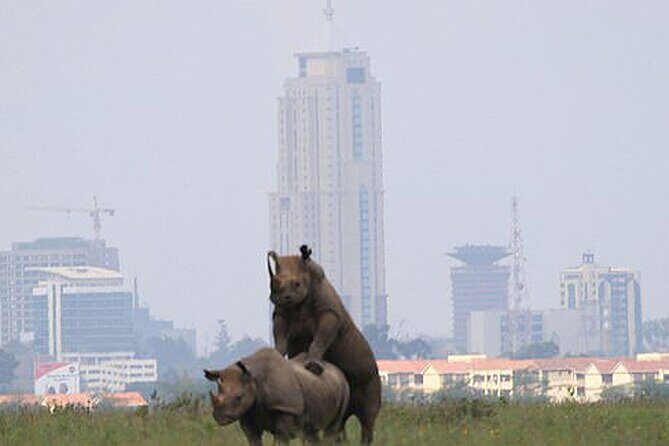 Half-Day National Wildlife Safari Private Tour in Nairobi - How It Stacks Up in Value
