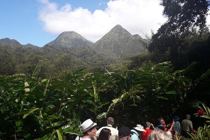 Half-Day Nature and Panorama Tour in Martinique - The Itinerary in Detail: What You Can Expect