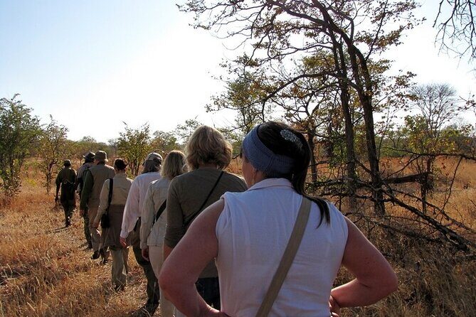 Half-Day Nature Walk in Mosi-oa-Tunya National Park from Livingstone - Detailed Review of the Tour