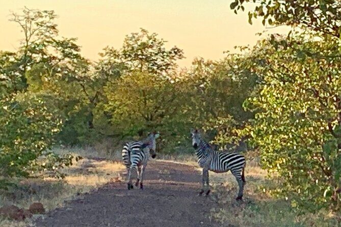 Half-Day Nature Walk in Mosi-oa-Tunya National Park from Livingstone - FAQ