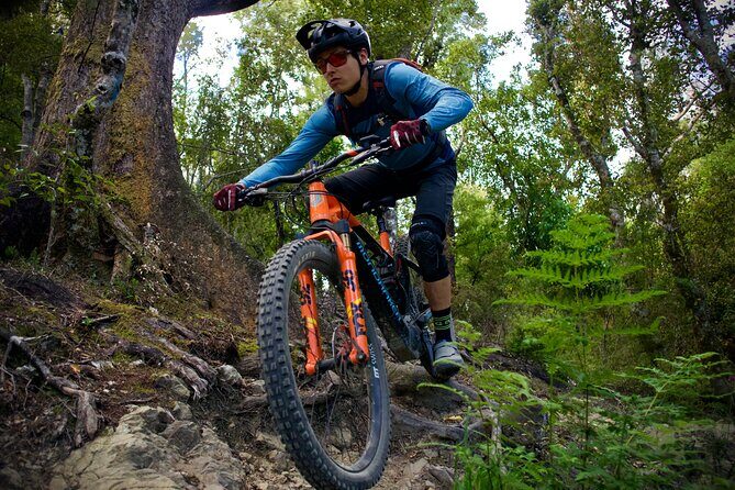 Half Day Nelson Electric Mountain Bike Rental Adventure - What Makes This Tour Stand Out?