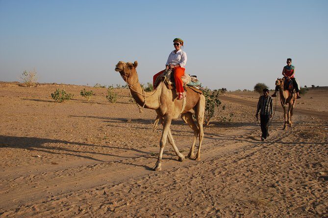 Half day, non touristic sand dune ,camel safari with dinner - A Closer Look at the Tour Experience