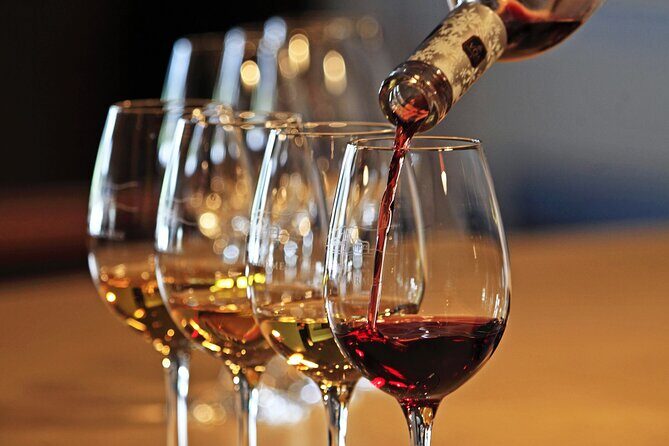 Half-Day North Georgia Wine Country Tour From Atlanta - An In-Depth Look at What to Expect