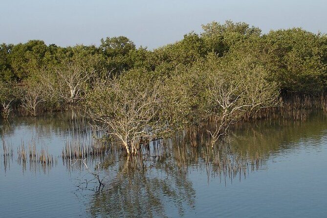 Half-Day North Qatar Tour - Who Should Consider This Tour?
