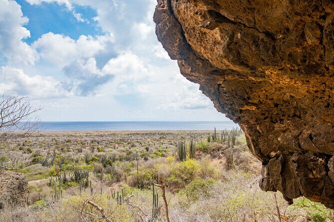 Half Day Off-Road & Snorkel Safari - Final Thoughts