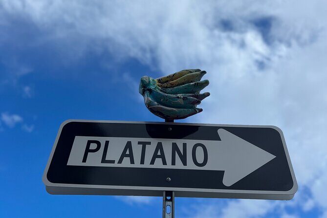 Half-Day: Old San Juan, Calle Cerra,Santurce, La Placita & Loíza - FAQ