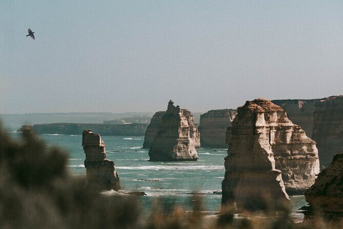 Half-Day or Full-Day Tour with Private Guide from Melbourne - An Overview of the Tour Experience