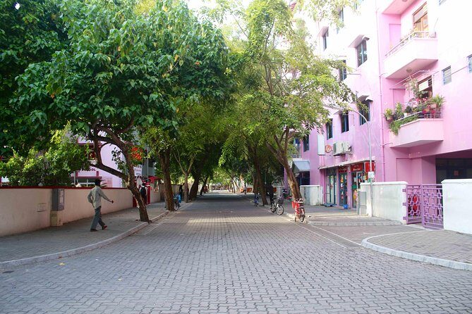 Half-Day Original Eco Tour to Villimale From Malé - A Detailed Look at What You Can Expect
