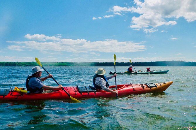 Half-Day Orleans Island Small-Group Sea Kayaking Tour - What You Can Expect During the Tour