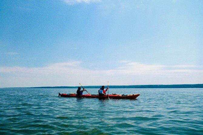 Half-Day Orleans Island Small-Group Sea Kayaking Tour - The Experience Itself: Pros and Cons