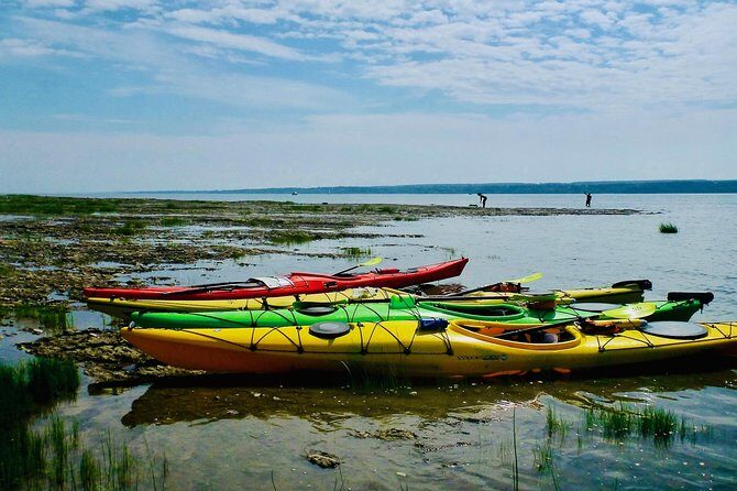 Half-Day Orleans Island Small-Group Sea Kayaking Tour - Who Should Consider This Tour?