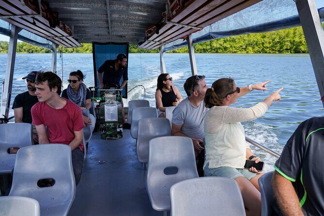 Half Day Outer Reef Snorkelling Tour from Port Douglas - Authentic Perspectives from Past Travelers