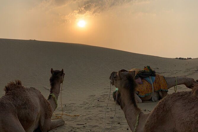Half Day Overnight Desert Tour (Non Touristic) - An In-Depth Look at the Desert Safari Experience