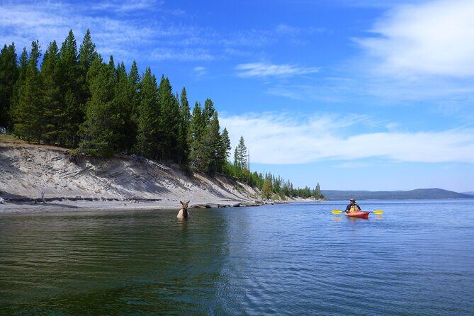 Half Day Paddle on Yellowstone Lake - Who Will Love This Tour?