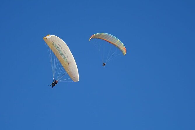 Half-Day Paragliding in Marrakech and Atlas Mountains - An Overview of the Experience