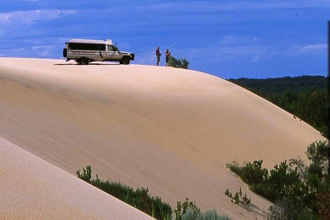 Half-Day Pemberton National Parks Beach and Forest Eco Adventure - Introduction
