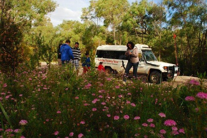 Half-Day Pemberton National Parks Beach and Forest Eco Adventure - Practical Details: Transport, Cost, and Logistics