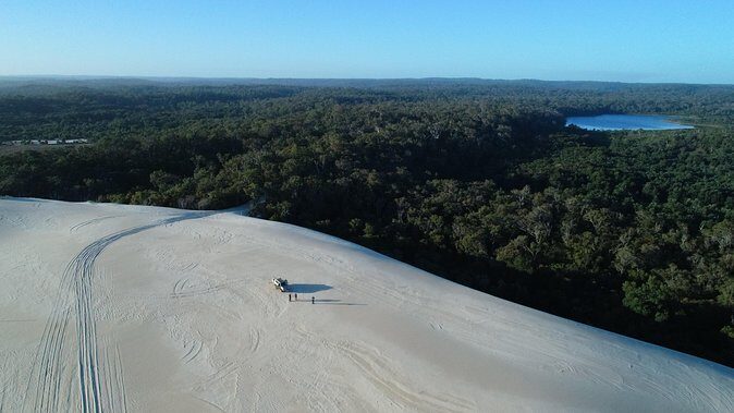 Half-Day Pemberton National Parks Beach and Forest Eco Adventure - Who Is This Tour Best For?