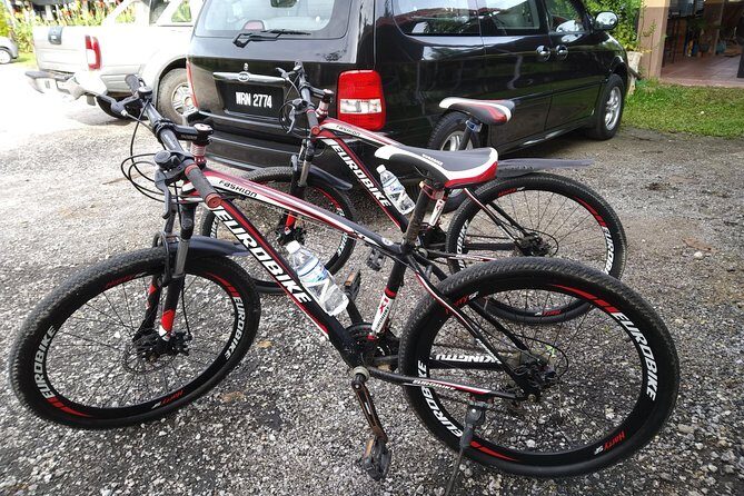 Half-Day Penang Countryside Cycling Tour - The Sum Up: Who Is This Tour For?