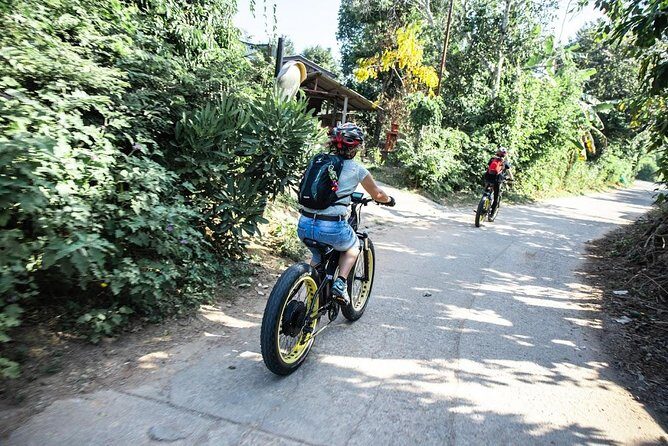 Half-day Ping River and rice paddies E-bike adventure (flat land, GUIDED) - Who Will Enjoy This Tour Most?