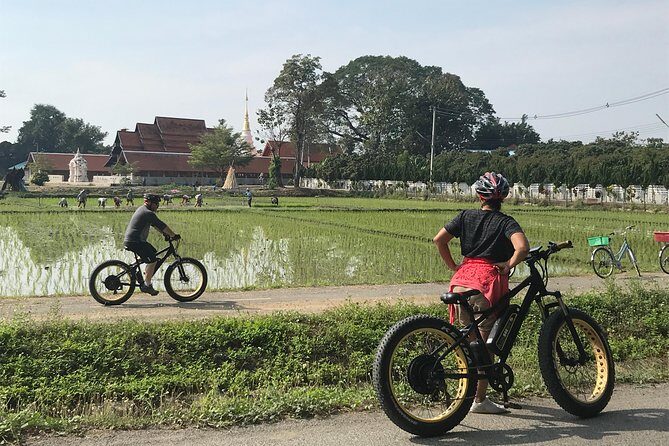 Half-day Ping River and rice paddies E-bike adventure (flat land, GUIDED) - The Sum Up