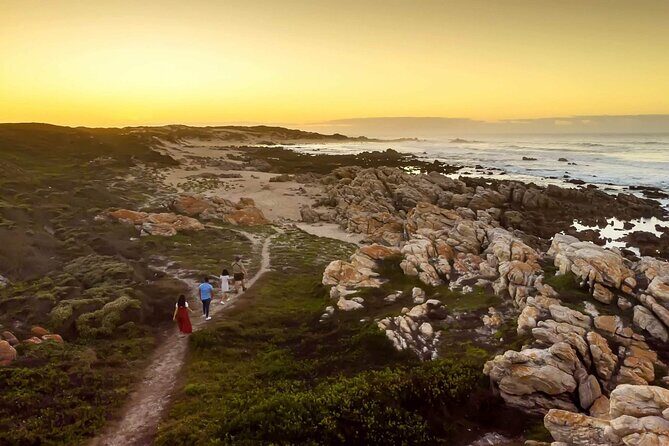 Half-Day Port Elizabeth & Kragga Kamma Reserve - Key Points