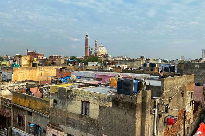 Half-Day Premium Classic Old Delhi Cycling Tour - Unity in Diversity - A Full Breakdown of the Tour Experience