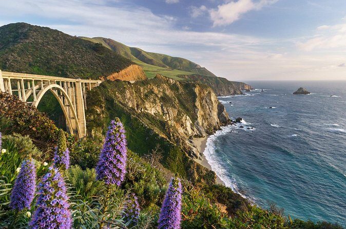 Half Day Private Big Sur Driving Tour in California - The Sum Up