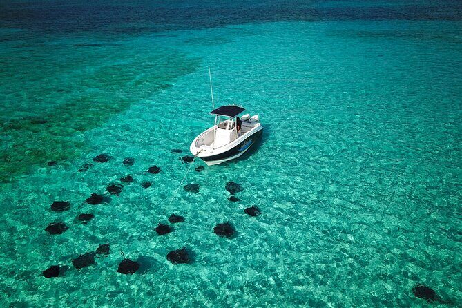 Half Day Private Boat Charter in Grand Cayman - What to Expect on the Day