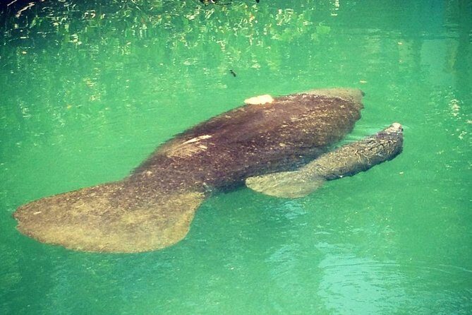 Half Day Private Boat Tour - The Sum Up: Who Will Love This Tour?