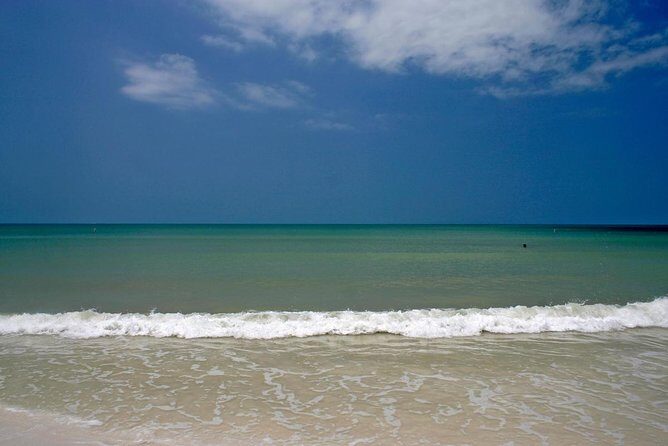 Half-Day Private Boating On Platinum Funship - Dunedin - Key Points