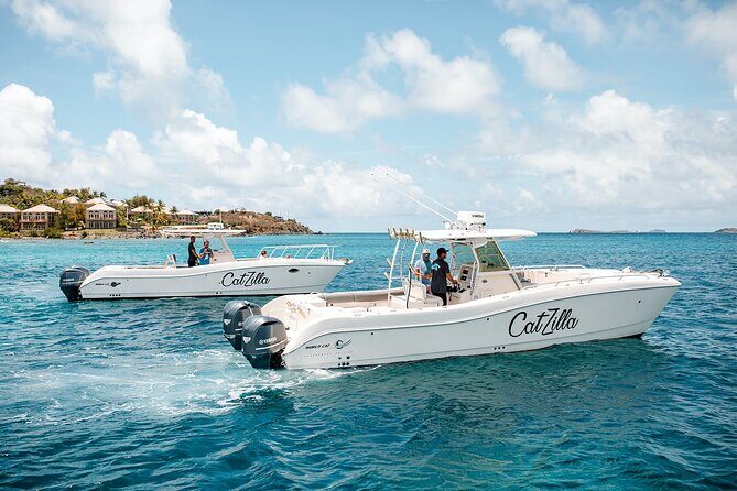 Half-Day Private Charter from St John - Why You’ll Love This Catamaran Tour