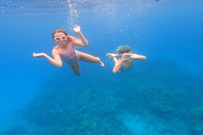 Half Day Private Cruise Tour with Snorkeling and Fishing in Kona - What to Expect on the Tour