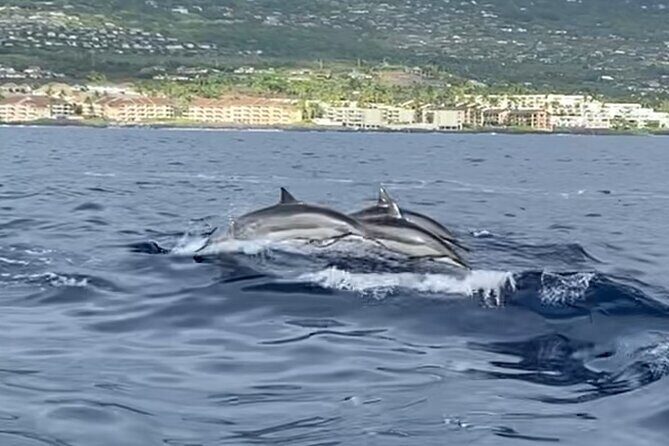 Half Day Private Cruise Tour with Snorkeling and Fishing in Kona - FAQ