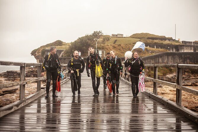 Half-Day Private Discover Dive at Australia's Iconic Beach - Key Points