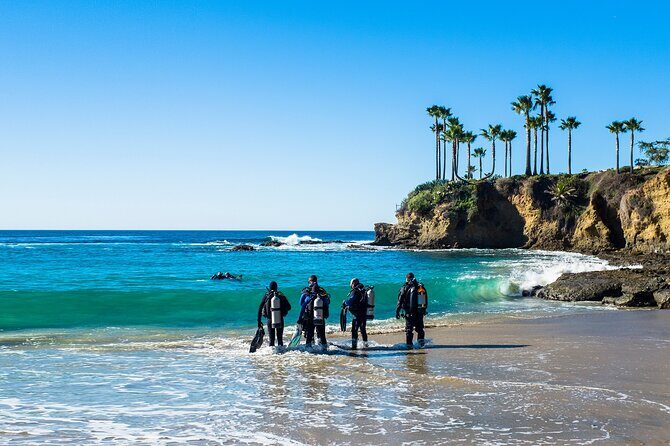 Half-Day Private Discover Dive at Australia's Iconic Beach - Frequently Asked Questions