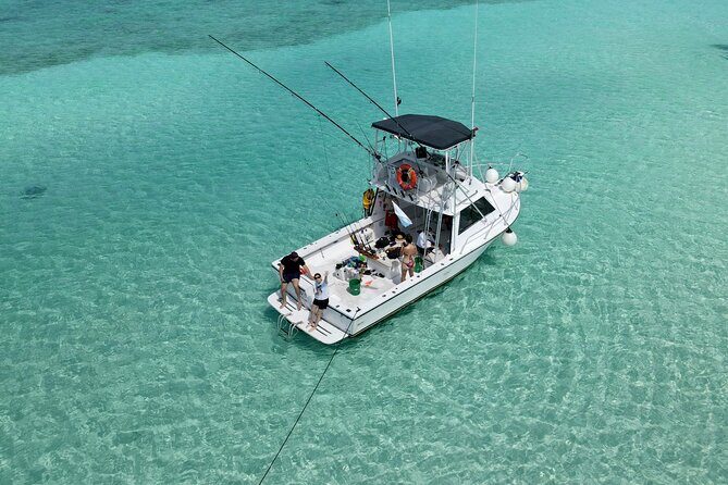 Half Day Private Fishing Charter in Cozumel - Who Should Consider This Experience?