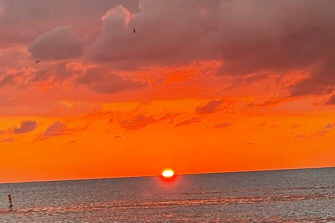 Half Day Private Fishing Trip with Site Seeing Around Anna Maria Island - Introduction: What You Can Expect from this Private Island Adventure