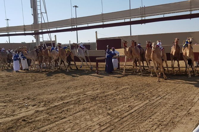Half-Day Private Guided Camel Race Tour in Qatar - An In-Depth Look at the Camel Race Tour