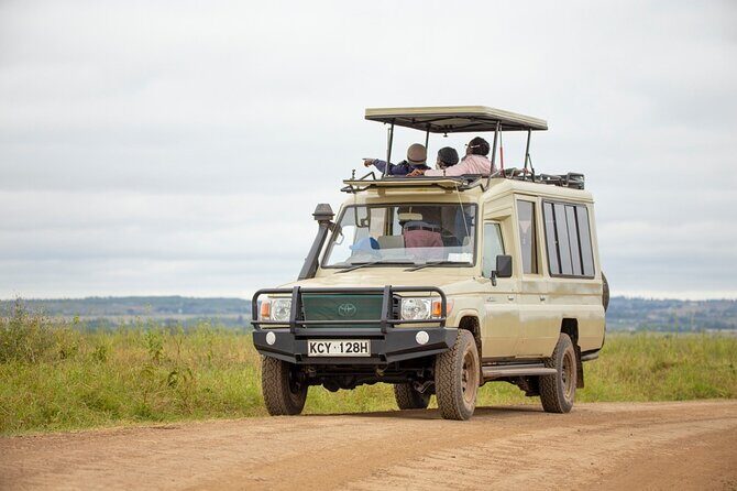 Half-Day Private Guided Safari Tour to Nairobi National Park - Introduction: Is This Tour Worth It?