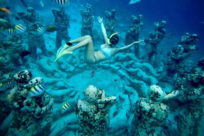 Half-Day Private Guided Snorkeling Turtles Underwater Statues - Who Will Appreciate This Tour?