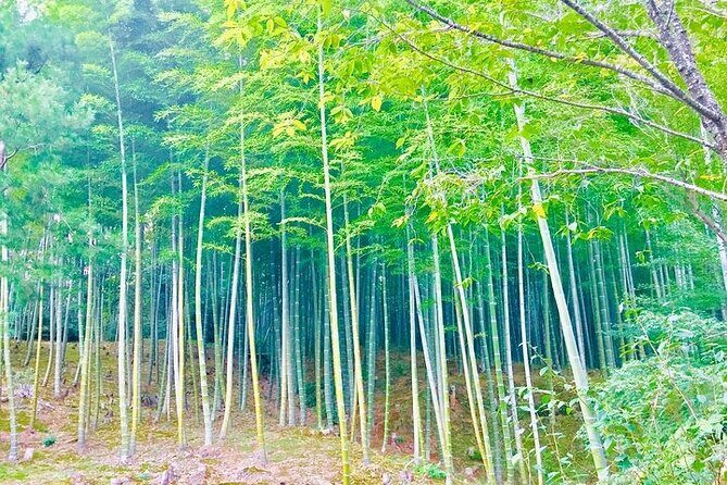 Half-Day Private Guided Tour to Arashiyama, Kyoto - Discovering Kyoto’s Arashiyama in Four Hours