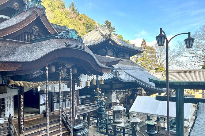 Half-Day Private Guided Tour to Mount Ikoma - Discovering Mount Ikoma: A Detailed Review