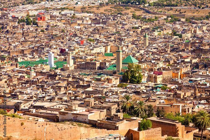 Half-Day Private Guided Walking Tour Of Fez Medina - The Sum Up
