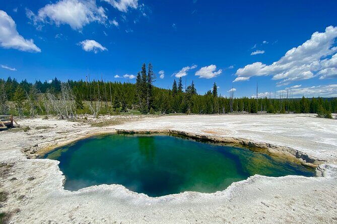 Half Day Private in Yellowstone Geyser Basin Tour - Key Points