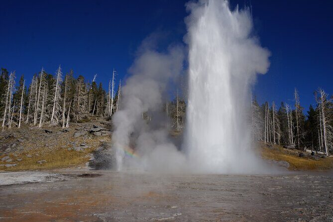 Half Day Private in Yellowstone Geyser Basin Tour - The Experience and Why It Matters